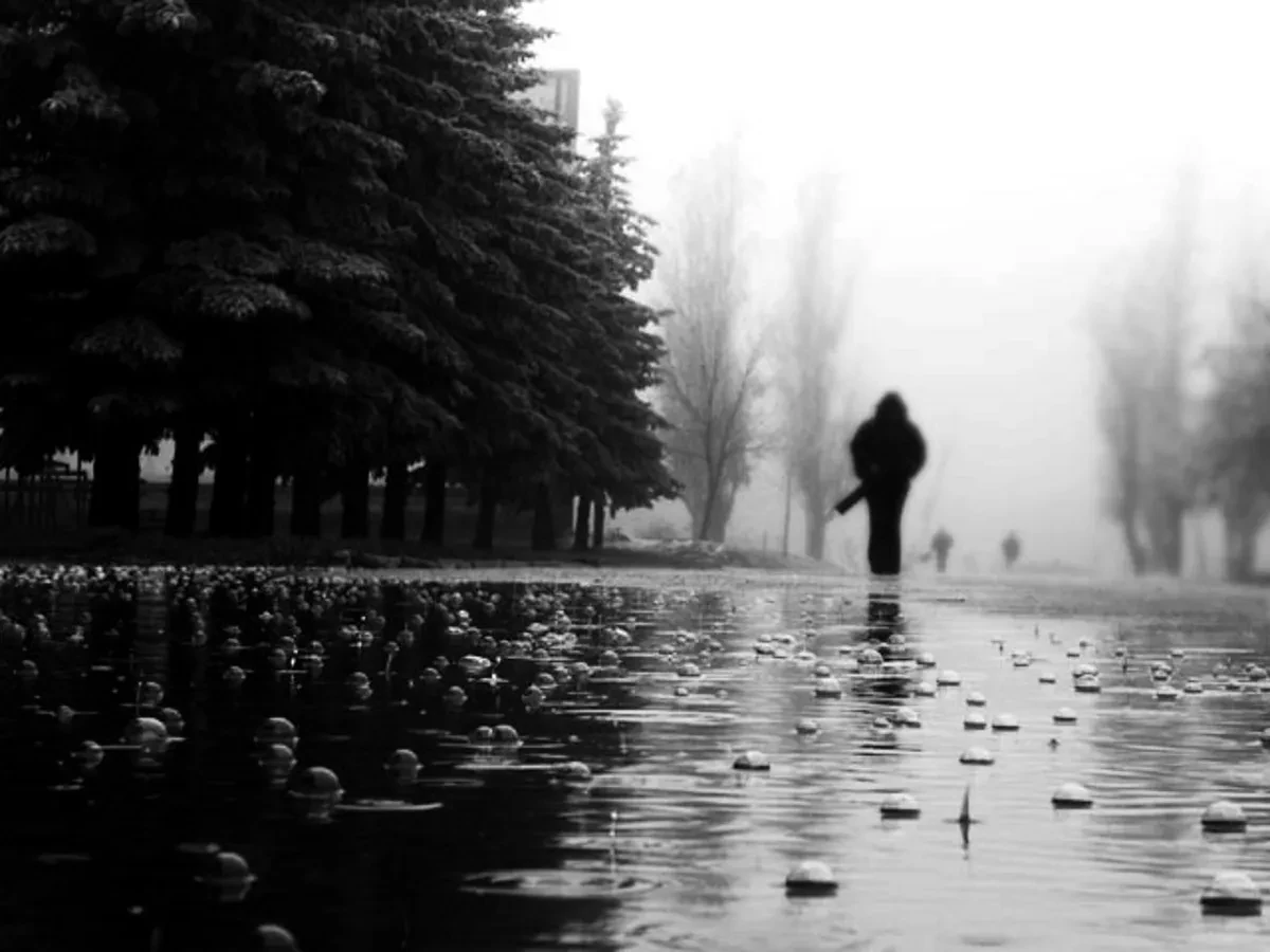 «Атажурттун сокмо жолдору менен...»