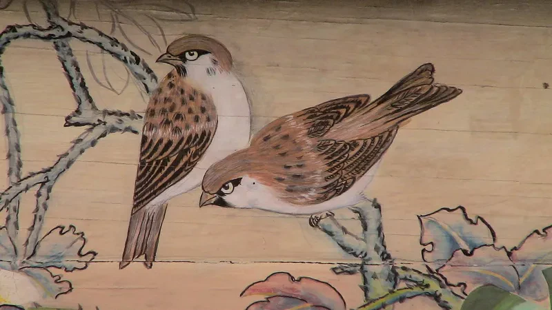 Таранчы жеңе