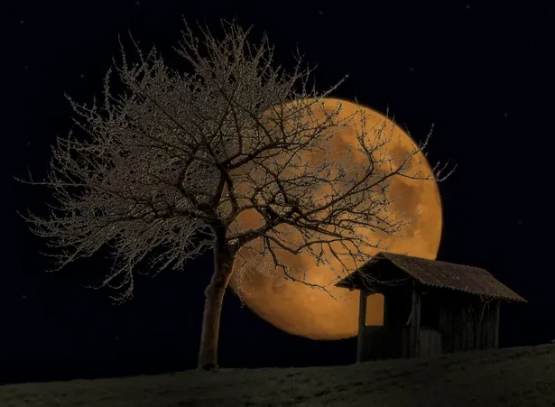 Сен мага кат жазчы кайгырганда...