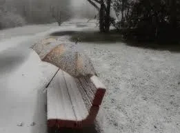 Ушул жазда бир арыкка суу буруп, Бир көчөттү тиктире көр, о Кудай?!