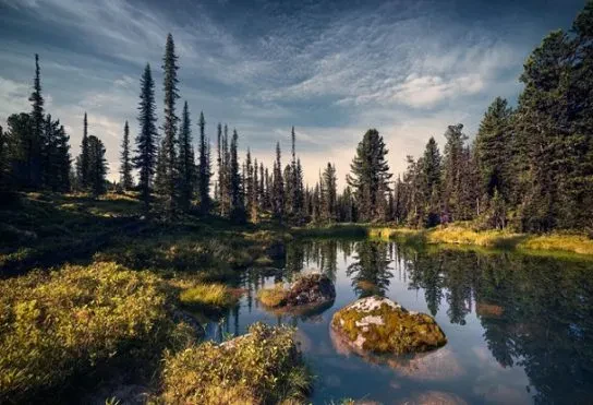 Олтурбагам чаңын жутуп бөлмөнүн, Көрдүм көлчүк толкуну жок өлгөнүн