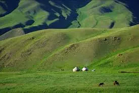 Жунай Мавлянов: Жайлоодо