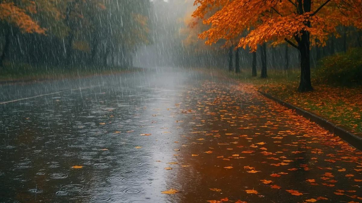 Күздөгү жаандар